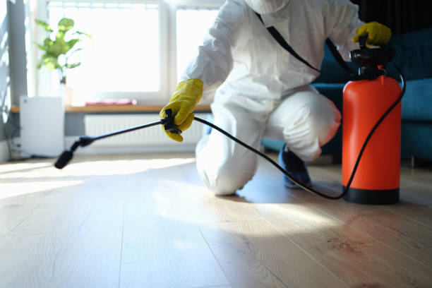 Reliable Odor Removal contractor in Pennington, NJ by Trauma Clean Pros